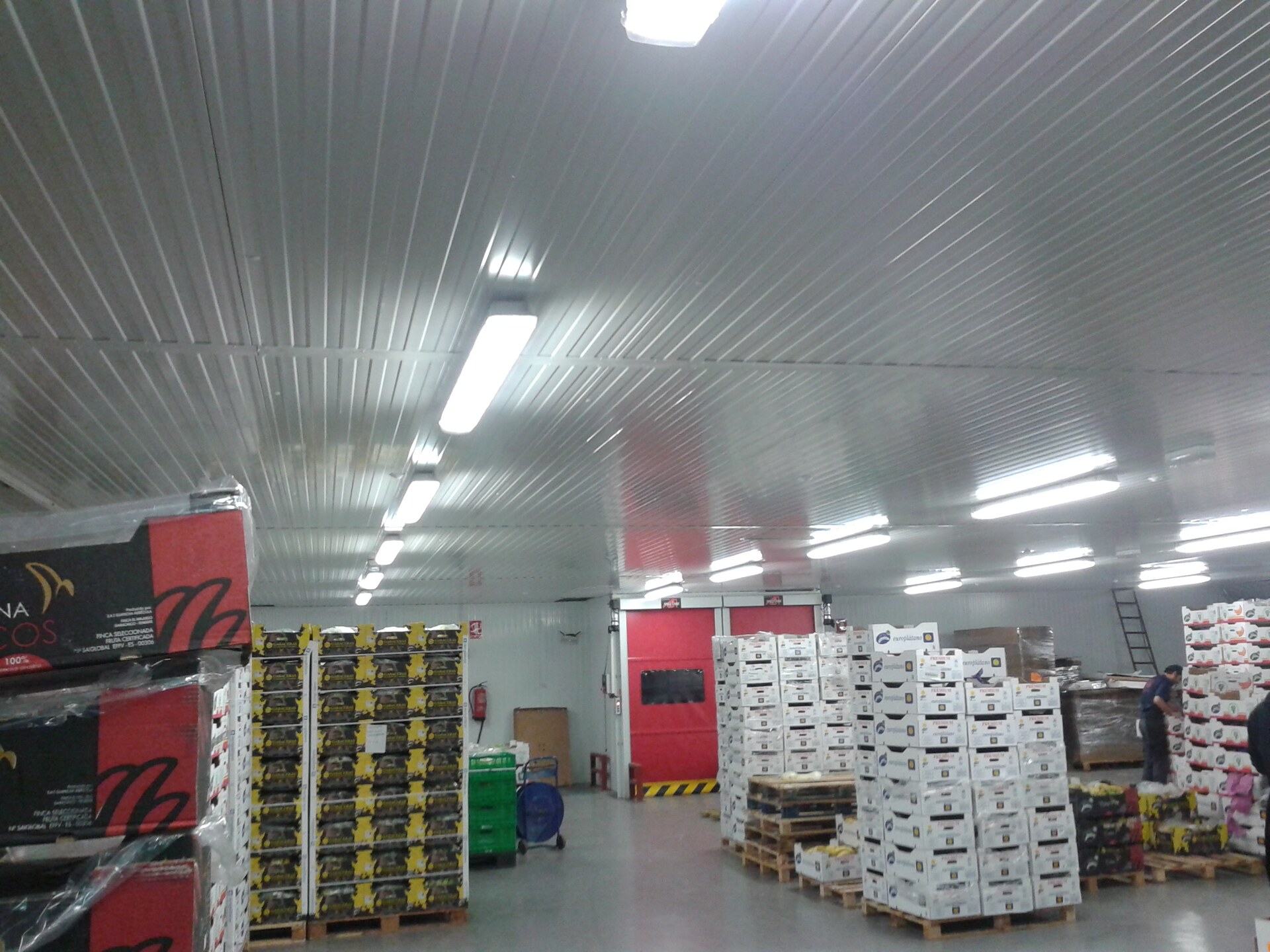 Ampliación de industria BARGOSA, imagen 4