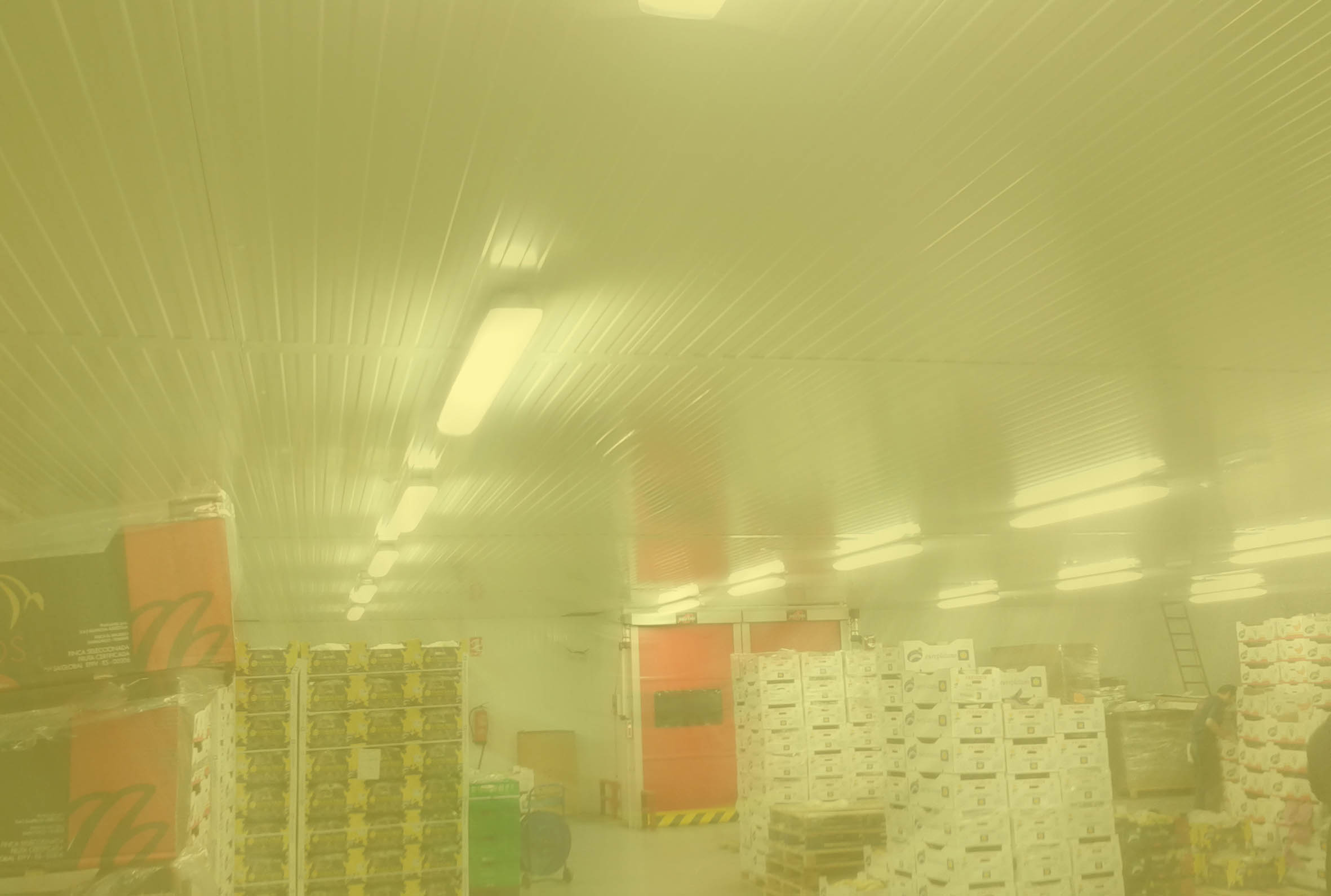 Industria agroalimentaria Bargosa